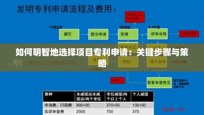如何明智地选择项目专利申请:关键步骤与策略