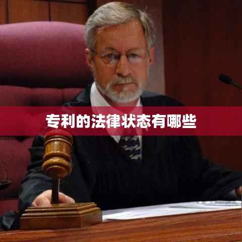 花枝招展 第3页