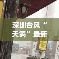 深圳台风“天鸽”最新情况:风雨肆虐后的城市重建