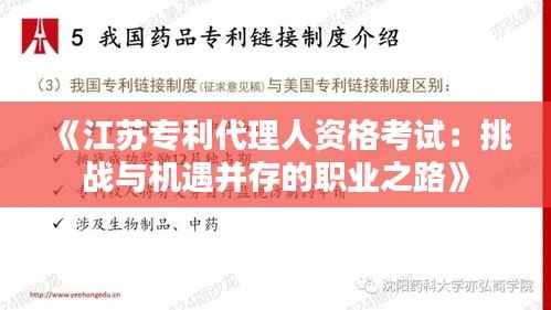 《江苏专利代理人资格考试:挑战与机遇并存的职业之路》