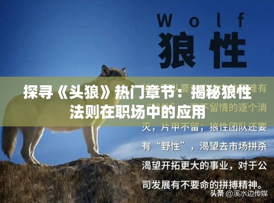 探寻《头狼》热门章节:揭秘狼性法则在职场中的应用