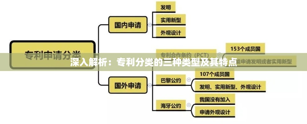 深入解析:专利分类的三种类型及其特点