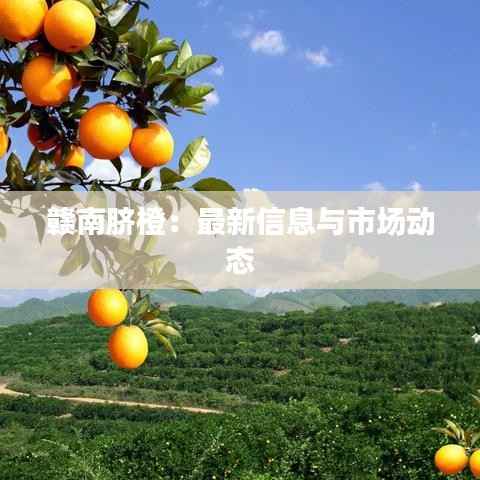 赣南脐橙:最新信息与市场动态