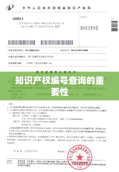 知识产权编号查询的重要性
