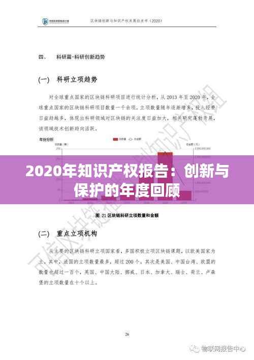 2020年知识产权报告:创新与保护的年度回顾