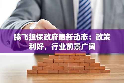 腾飞担保政府最新动态:政策利好,行业前景广阔
