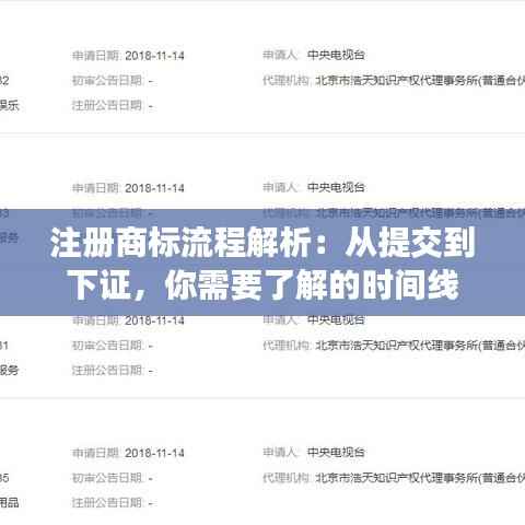 注册商标流程解析:从提交到下证,你需要了解的时间线