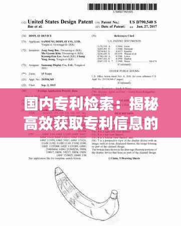 国内专利检索:揭秘高效获取专利信息的秘密武器