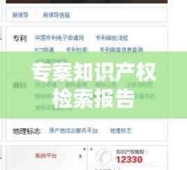 专案知识产权检索报告
