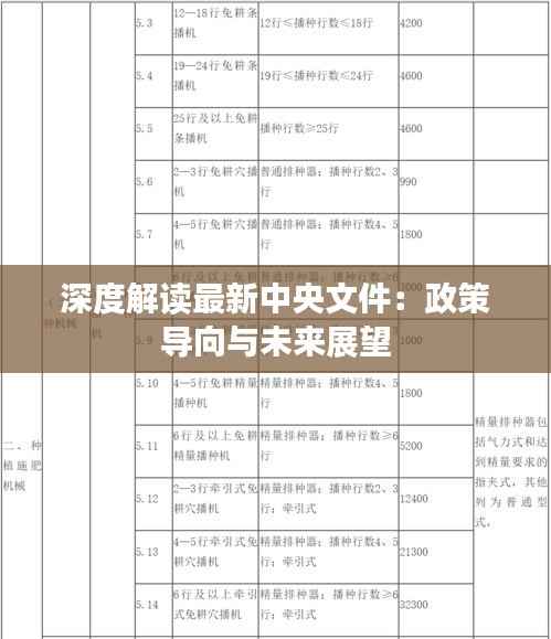 深度解读最新中央文件:政策导向与未来展望