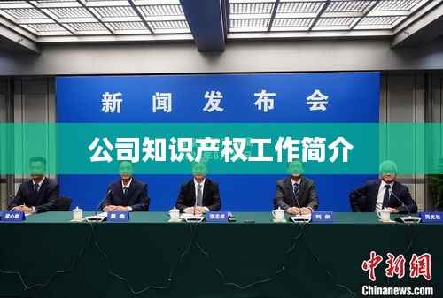 公司知识产权工作简介