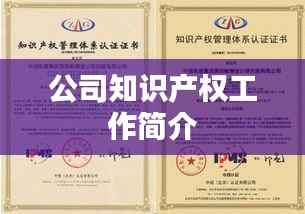 公司知识产权工作简介