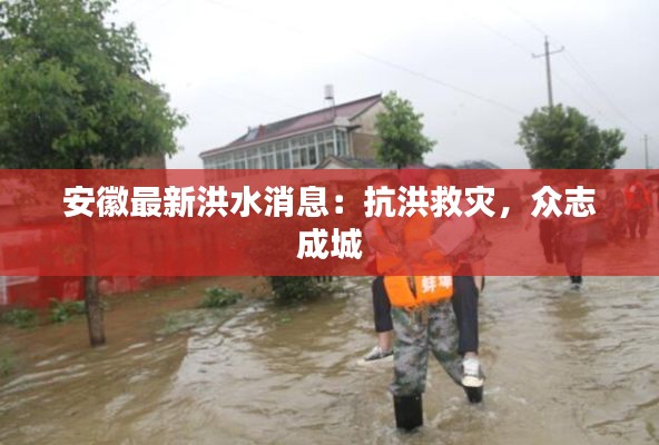 安徽最新洪水消息:抗洪救灾,众志成城