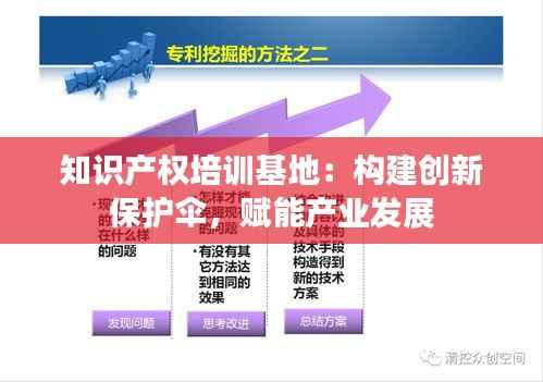 知识产权培训基地:构建创新保护伞,赋能产业发展
