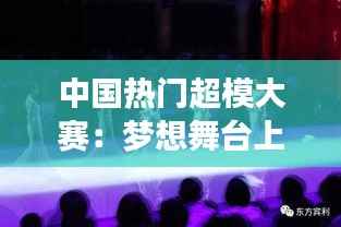 中国热门超模大赛:梦想舞台上的璀璨星光