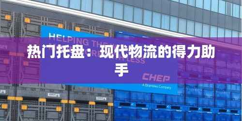 热门托盘:现代物流的得力助手