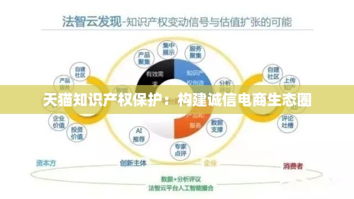 天猫知识产权保护:构建诚信电商生态圈