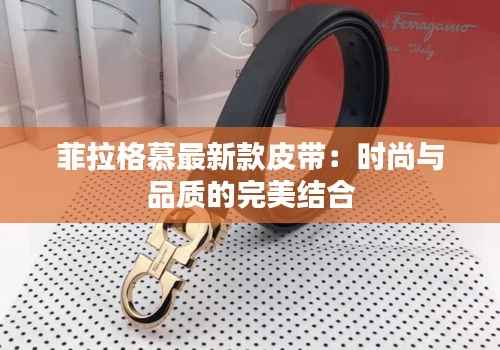 沉灶产蛙 第3页