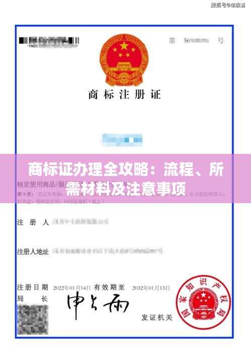 商标证办理全攻略:流程、所需材料及注意事项