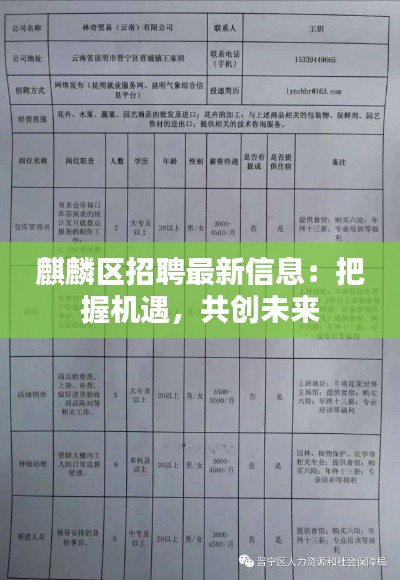 麒麟区招聘最新信息:把握机遇,共创未来