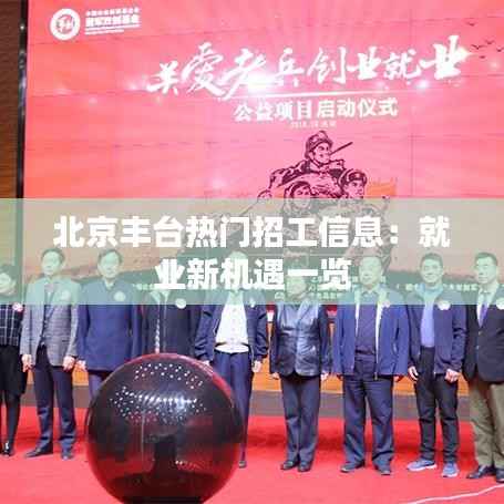 北京丰台热门招工信息:就业新机遇一览