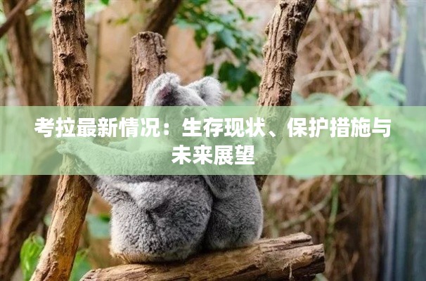 考拉最新情况:生存现状、保护措施与未来展望