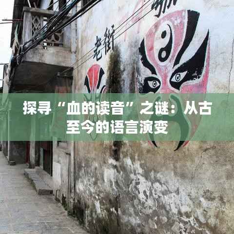 探寻“血的读音”之谜:从古至今的语言演变