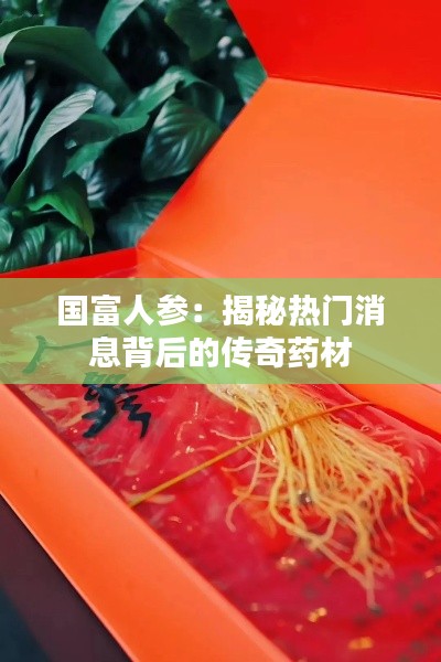 国富人参:揭秘热门消息背后的传奇药材