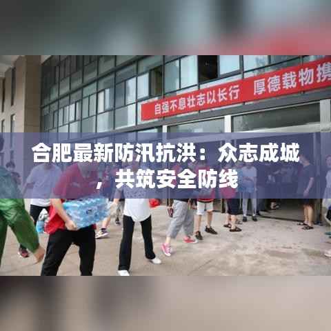 合肥最新防汛抗洪:众志成城,共筑安全防线