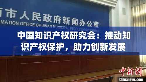 中国知识产权研究会:推动知识产权保护,助力创新发展