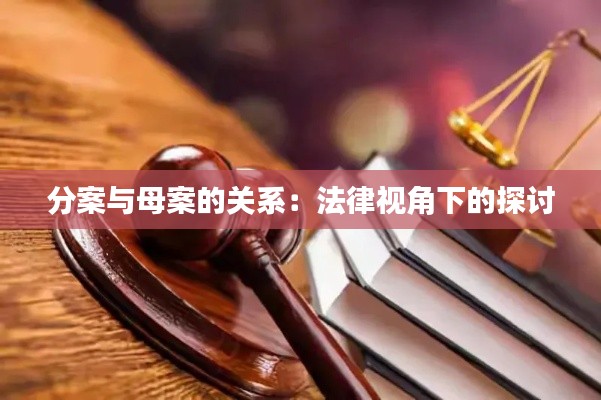 分案与母案的关系:法律视角下的探讨