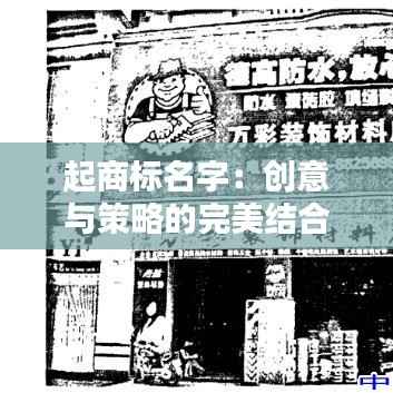 起商标名字:创意与策略的完美结合