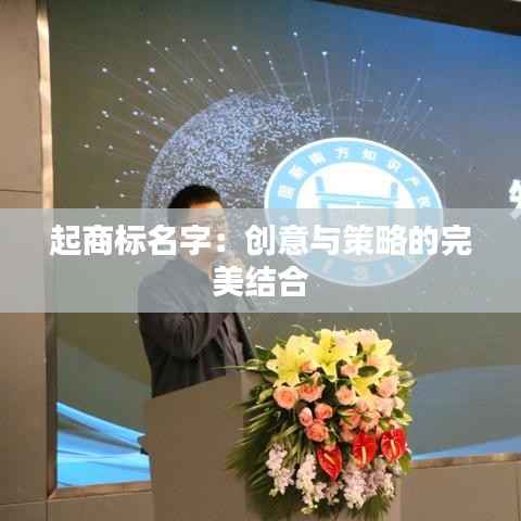 起商标名字:创意与策略的完美结合