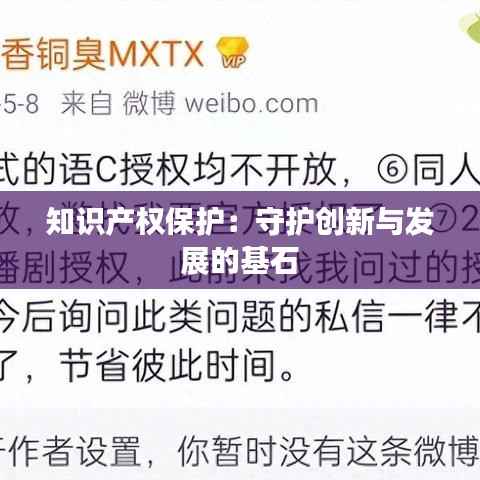 知识产权保护:守护创新与发展的基石