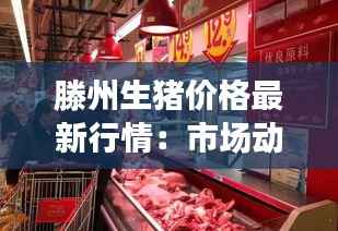 滕州生猪价格最新行情:市场动态与趋势分析