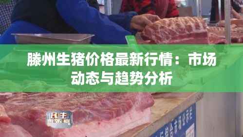滕州生猪价格最新行情:市场动态与趋势分析