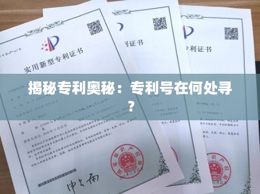 揭秘专利奥秘:专利号在何处寻?