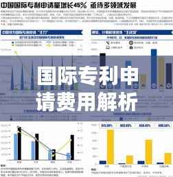 国际专利申请费用解析