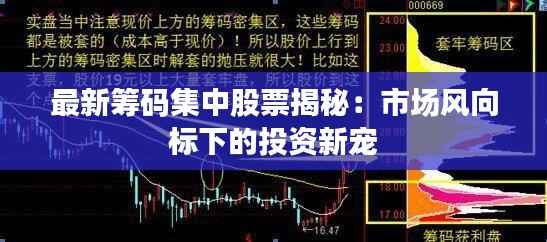 最新筹码集中股票揭秘:市场风向标下的投资新宠