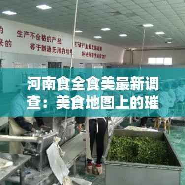 河南食全食美最新调查:美食地图上的璀璨明珠