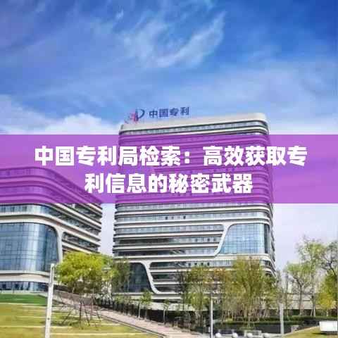 中国专利局检索:高效获取专利信息的秘密武器