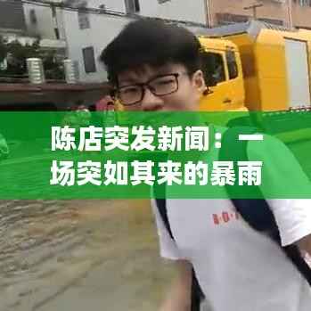 陈店突发新闻:一场突如其来的暴雨引发的社区救援行动