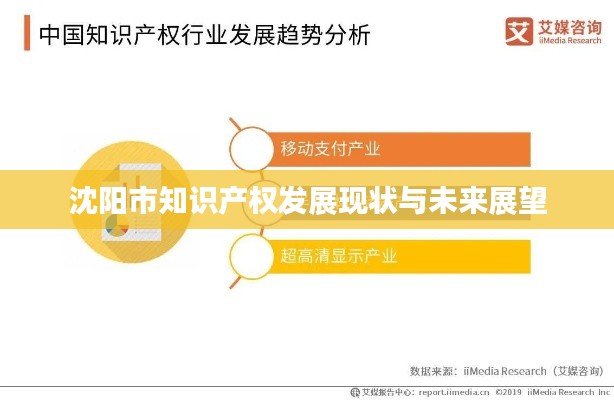 沈阳市知识产权发展现状与未来展望