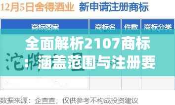 全面解析2107商标:涵盖范围与注册要点