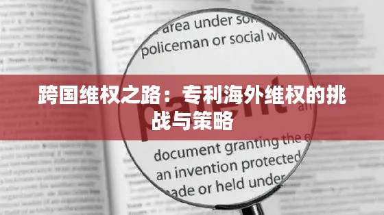 跨国维权之路:专利海外维权的挑战与策略