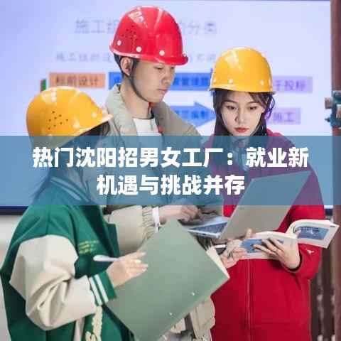 热门沈阳招男女工厂:就业新机遇与挑战并存