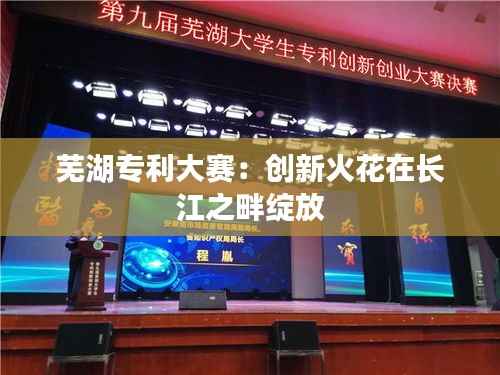 芜湖专利大赛:创新火花在长江之畔绽放