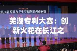 芜湖专利大赛:创新火花在长江之畔绽放