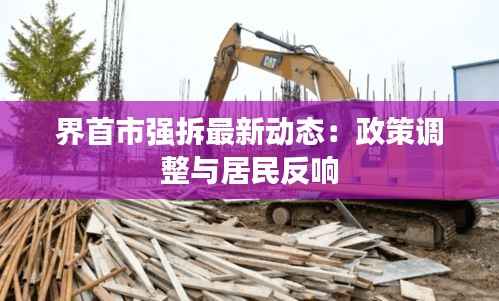 界首市强拆最新动态:政策调整与居民反响