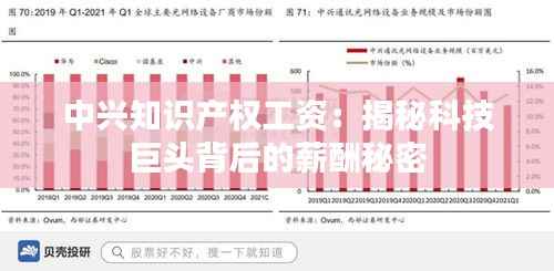 中兴知识产权工资:揭秘科技巨头背后的薪酬秘密